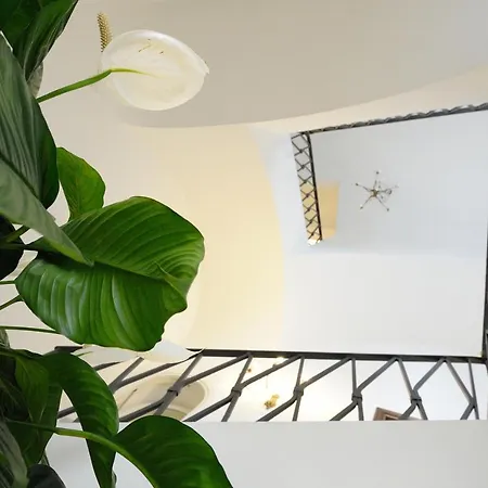 Гостьовий будинок Boutique Gimagi